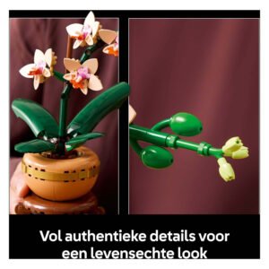Gedetailleerde LEGO Botanicals orchidee met realistische bloemen