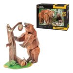 Opgebouwde 3D puzzel van bruine beer met doos op achtergrond Cubic Fun 3D Puzzel National Geographic Bruine Beer
