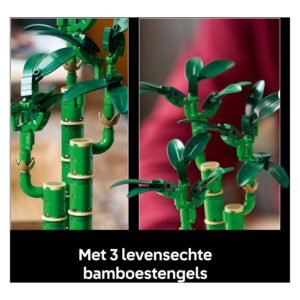 LEGO Lucky Bamboo model naast de originele bouwdoos