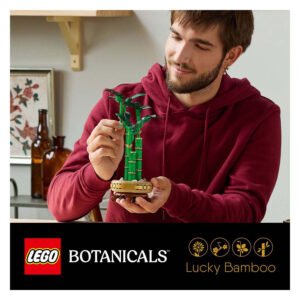 Persoon bouwt LEGO Botanicals Lucky Bamboo plant in een modern interieur