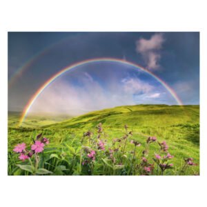 Dubbele regenboog boven groen heuvellandschap met wilde bloemen op de voorgrond van ravensburger