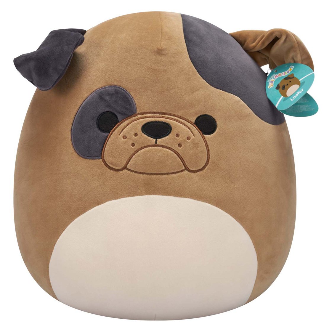 squishmallows-loaf-hond-knuffel-vooraanzicht Vooraanzicht van Squishmallows knuffel Loaf met etiket zichtbaar Squishmallows Knuffel Pluche - Loafer the Bulldog - 40cm