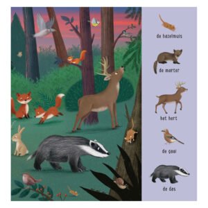 Illustratie van bosdieren zoals das, hert, eekhoorn en vos in een bos bij zonsondergang