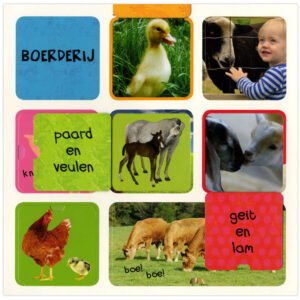 Boerderijdieren flapjesboek met eend, veulen, lam en kind op boerderij