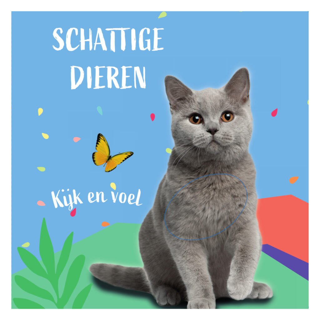 Grijze Britse korthaar kat met vlinder op blauwe achtergrond en kleurrijke elementen, tekst "Schattige dieren - Kijk en voel" Voelboekje Poesje