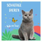 Grijze Britse korthaar kat met vlinder op blauwe achtergrond en kleurrijke elementen, tekst "Schattige dieren - Kijk en voel" Voelboekje Poesje