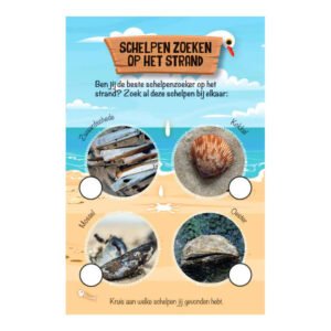 Educatieve zoekkaart voor kinderen om schelpen te zoeken op het strand met foto's van verschillende schelpen.