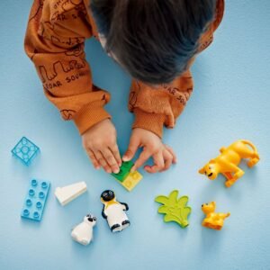 Bovenaanzicht van kind dat speelt met LEGO DUPLO onderdelen en dierenfiguren
