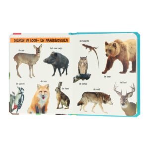 Binnenpagina van kinderboek met foto's van bosdieren en hun namen in het Nederlands