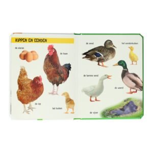 Boekpagina met foto's van kippen en eenden met Nederlandse benamingen