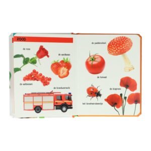 Kleurenboekpagina met rode objecten zoals aardbeien, tomaat, brandweerauto en paddenstoel