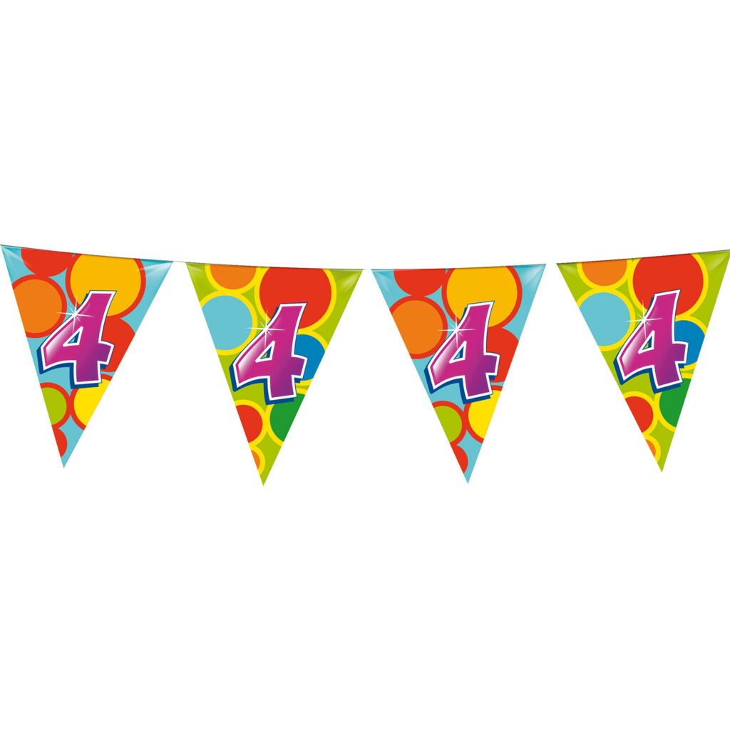 Afbeelding Vlaggenlijn 4 Jaar 10m multicolor van Haza Witbaard