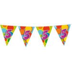 Vlaggenlijn 5 Jaar 10m met kleurrijke vlaggen van Haza Witbaard