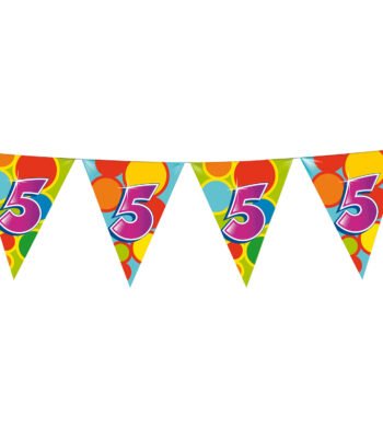 Vlaggenlijn 5 Jaar 10m met kleurrijke vlaggen van Haza Witbaard