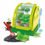 Mini Moestuin kweekkas met jonge plantjes en pipet voor water geven Clementoni Wetenschap en Spel Mini Moestuin