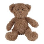 Bruine knuffelbeer met zachte pluizige vacht op witte achtergrond Take Me Home Knuffelbeer Pluche