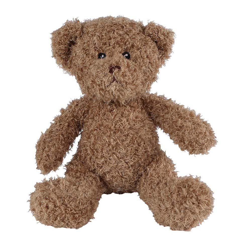 Bruine knuffelbeer met zachte pluizige vacht op witte achtergrond Take Me Home Knuffelbeer Pluche