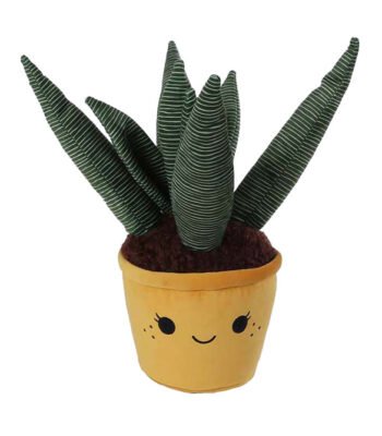 Groene decoratieve kamerplant in vrolijke bloempot met gezicht Take Me Home Knuffel Pluche Aloe Vera
