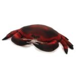Knuffel Krab van Stof 62cm kinderknuffel van Euro Souvenirs