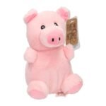 Roze knuffelvarken met "Take Me Home" label vooraanzicht Take Me Home Boerderijdieren Knuffel - Varken