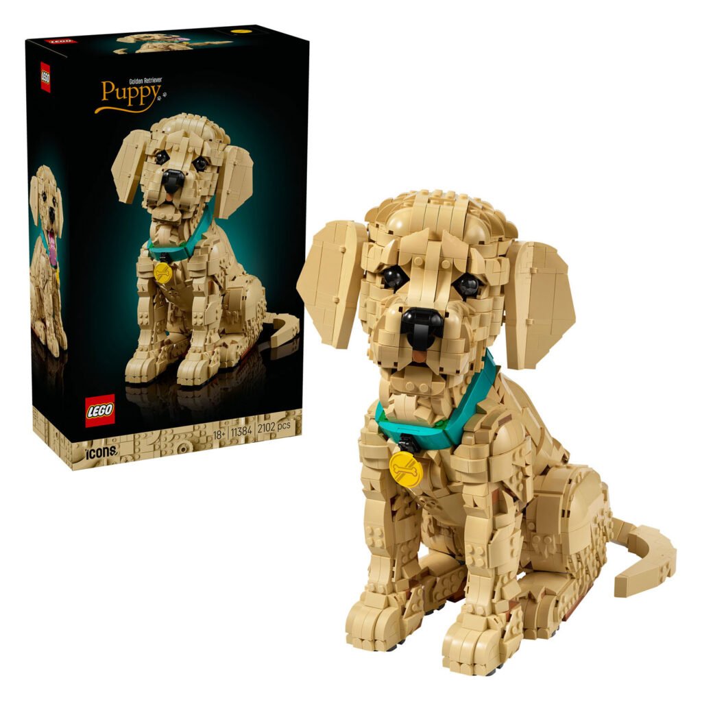 LEGO ICONS 11384 Golden Retriever Puppy bouwset naast originele verpakking